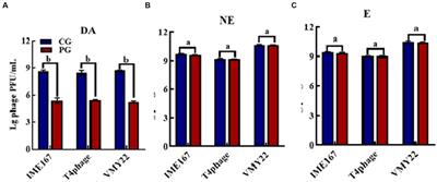 Dopamine alters phage morphology to exert an anti-infection effect